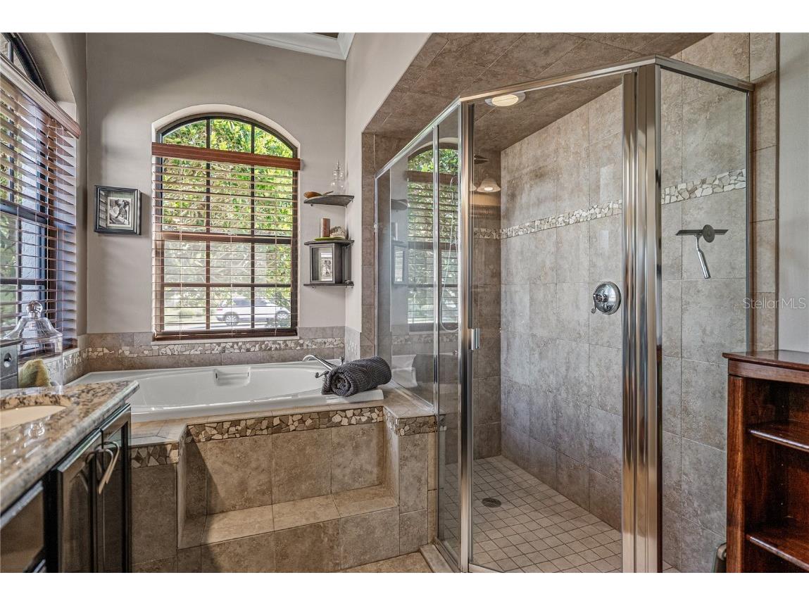 13247 Thoroughbred Drive Dade City FL 33525 TB8451498 image43