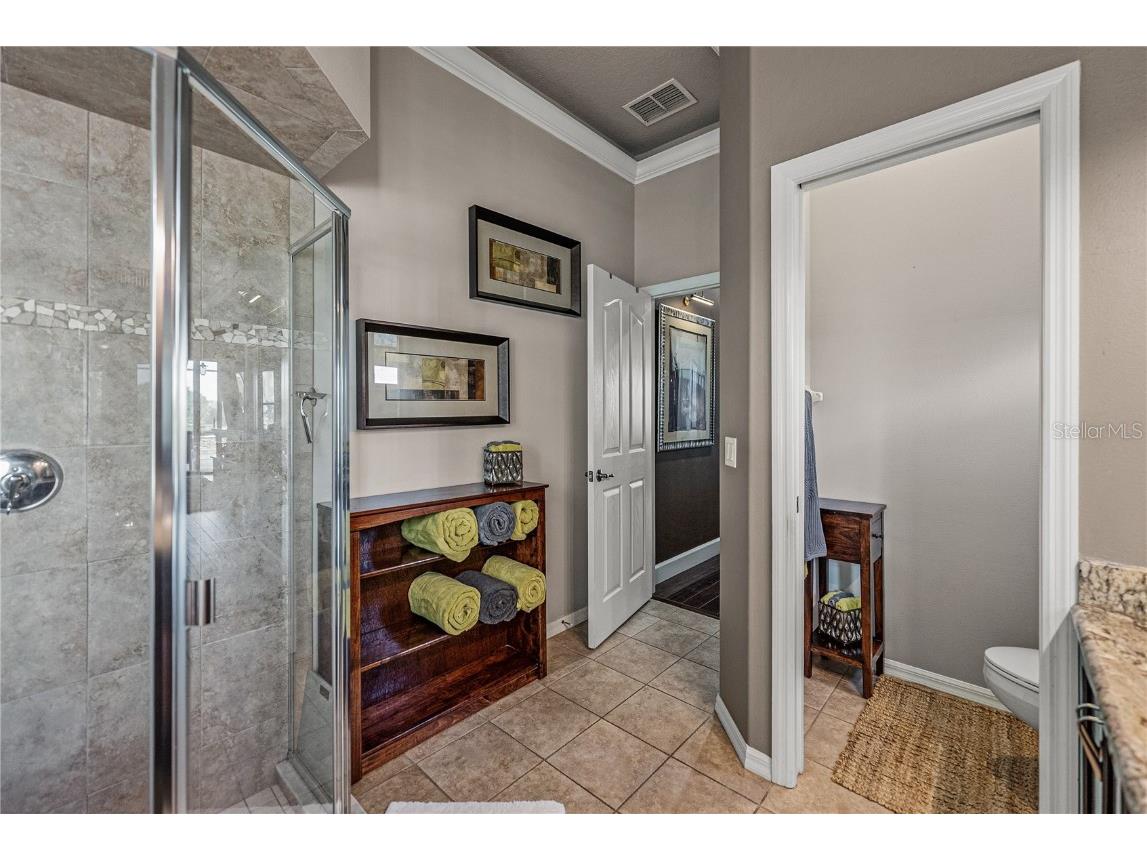 13247 Thoroughbred Drive Dade City FL 33525 TB8451498 image46