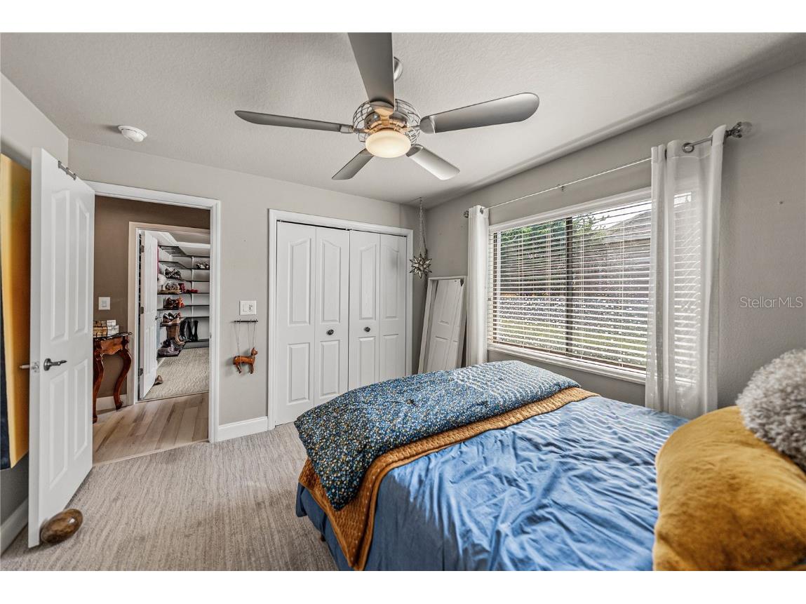 13247 Thoroughbred Drive Dade City FL 33525 TB8451498 image53