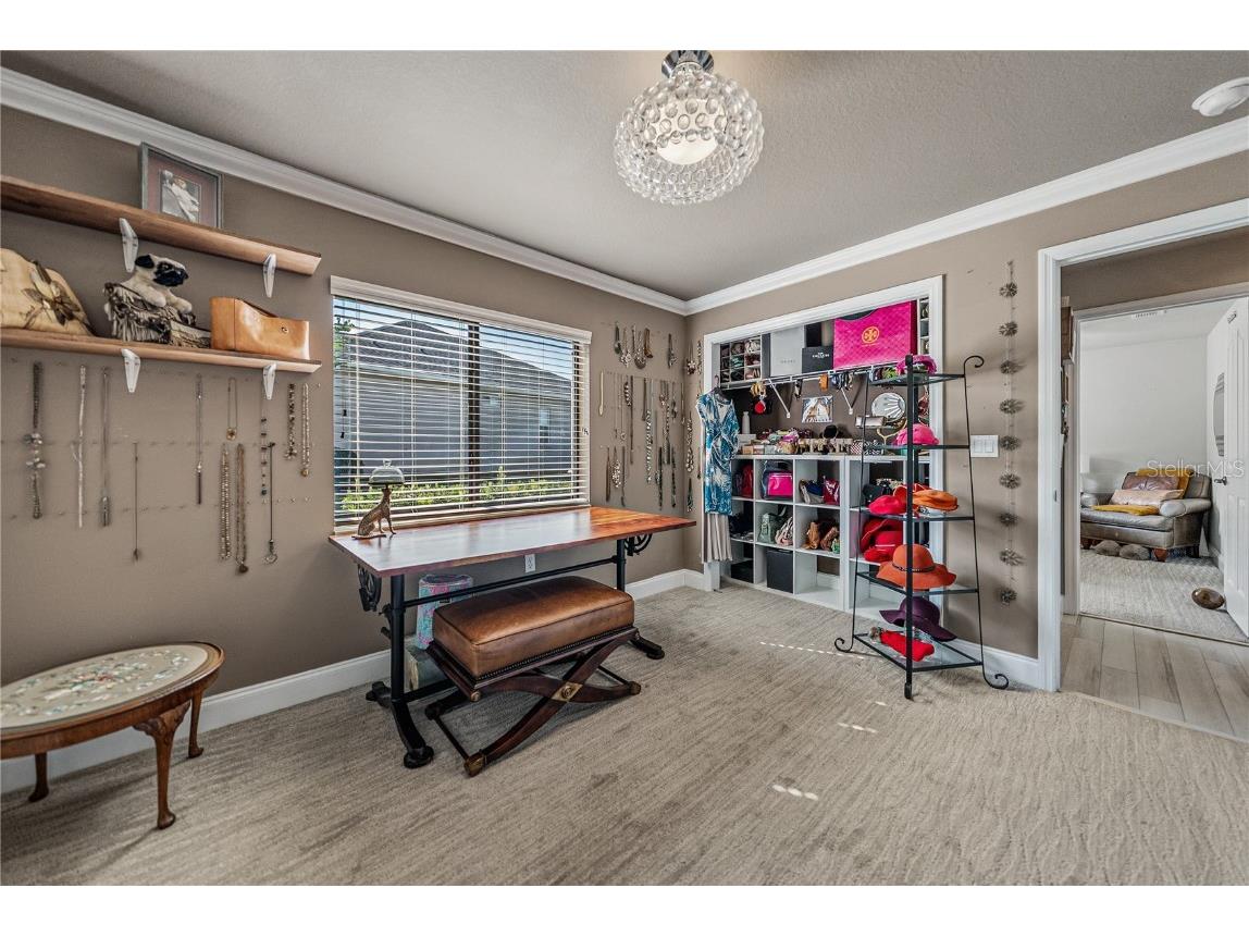 13247 Thoroughbred Drive Dade City FL 33525 TB8451498 image55