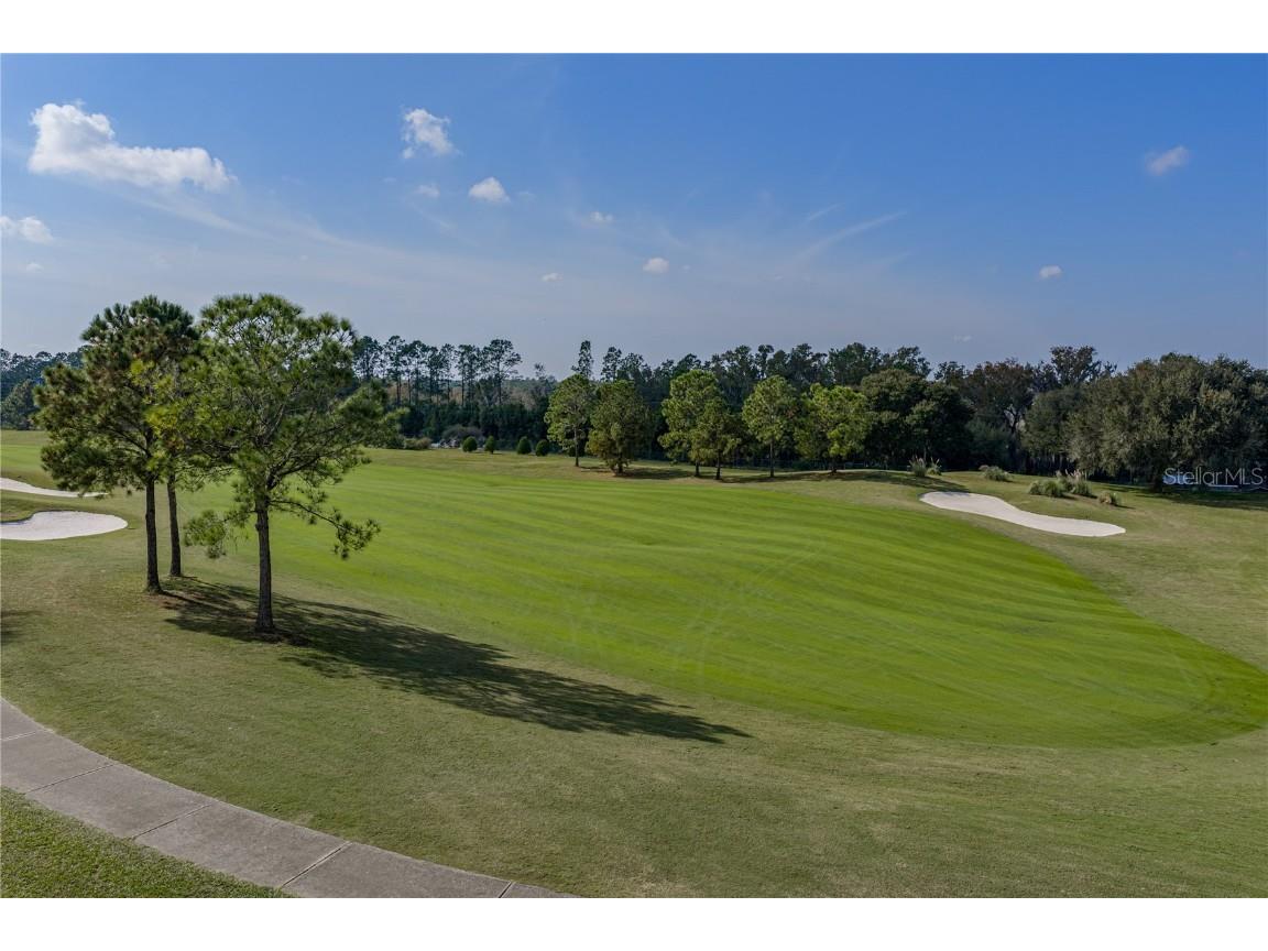 13247 Thoroughbred Drive Dade City FL 33525 TB8451498 image76