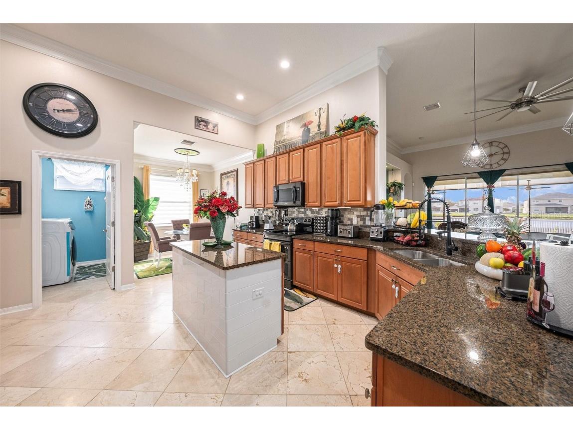 13248 Graham Yarden Drive Riverview FL 33579 TB8445395 image11