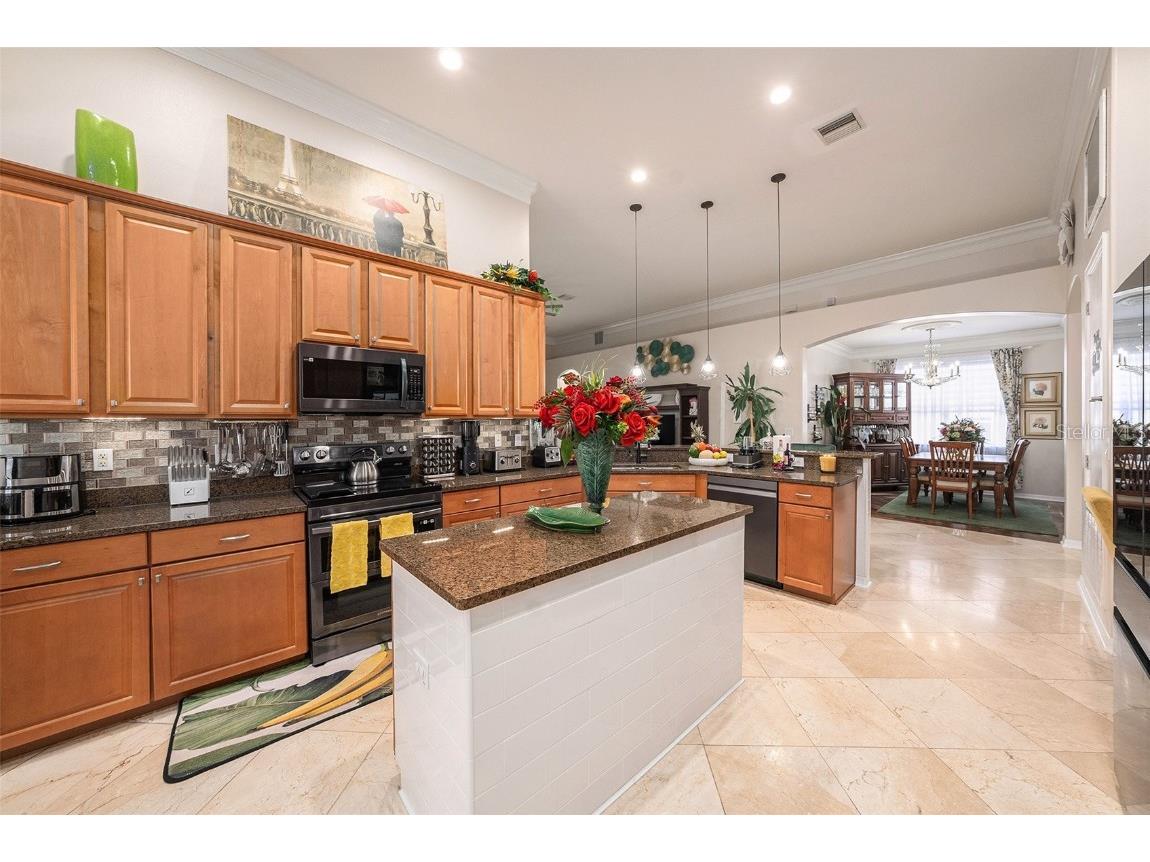 13248 Graham Yarden Drive Riverview FL 33579 TB8445395 image12