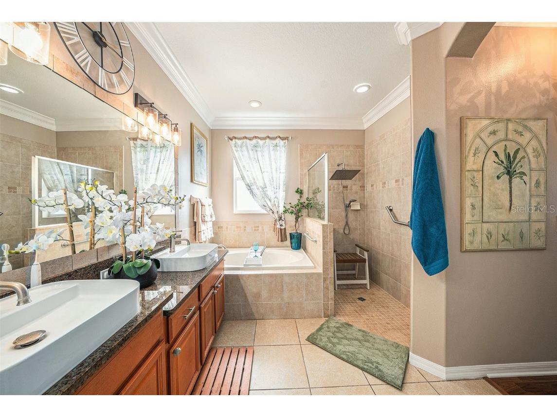 13248 Graham Yarden Drive Riverview FL 33579 TB8445395 image18