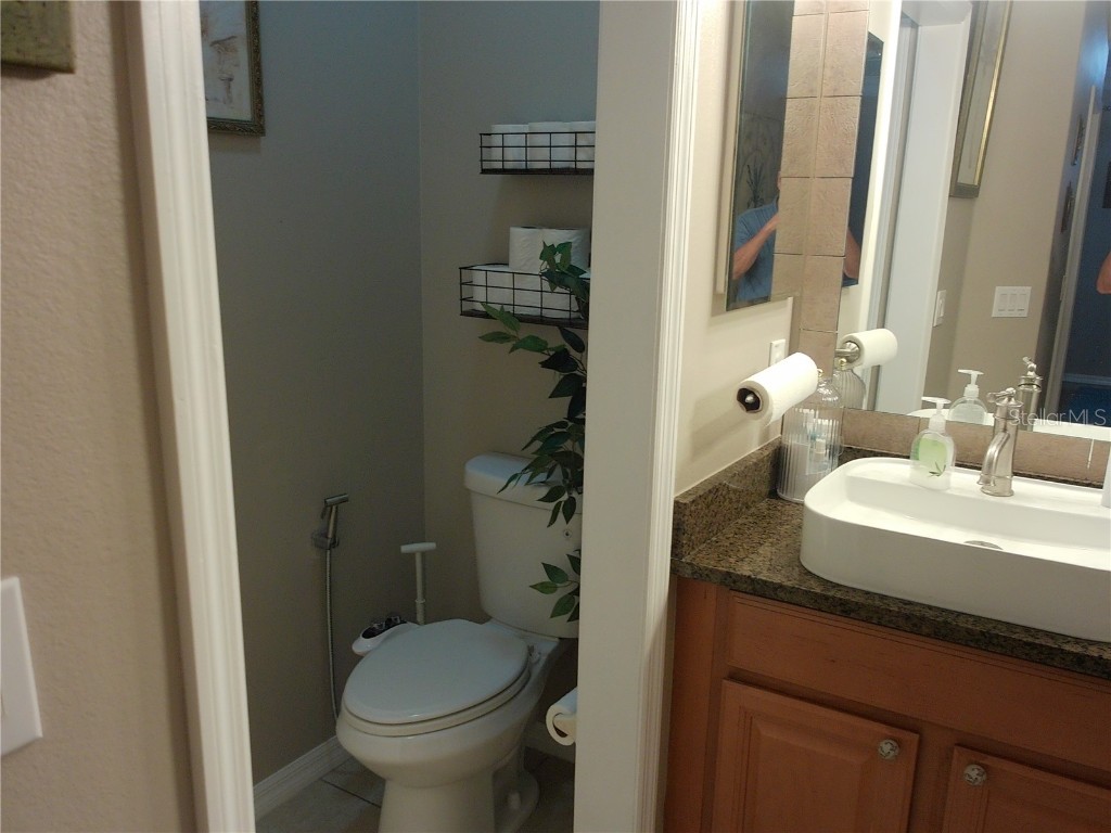 13248 Graham Yarden Drive Riverview FL 33579 TB8445395 image31