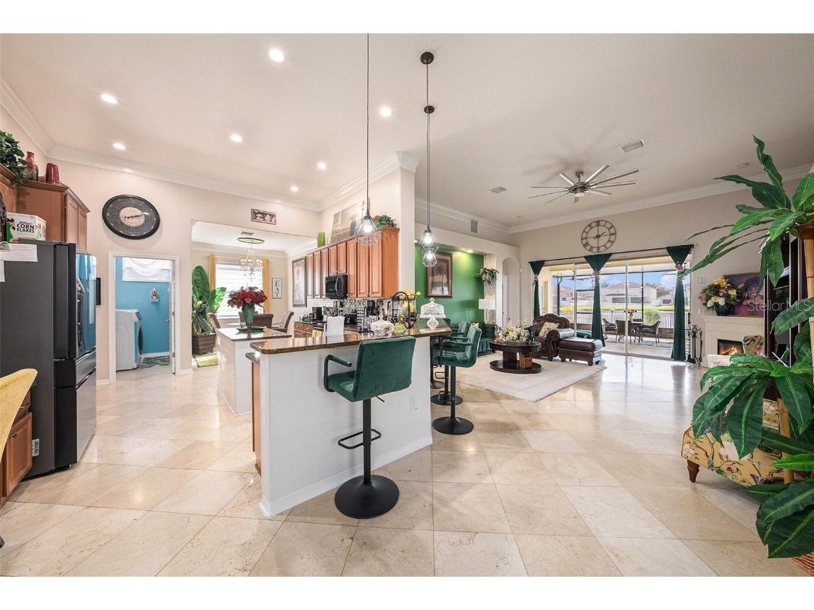 13248 Graham Yarden Drive Riverview FL 33579 TB8445395 image9