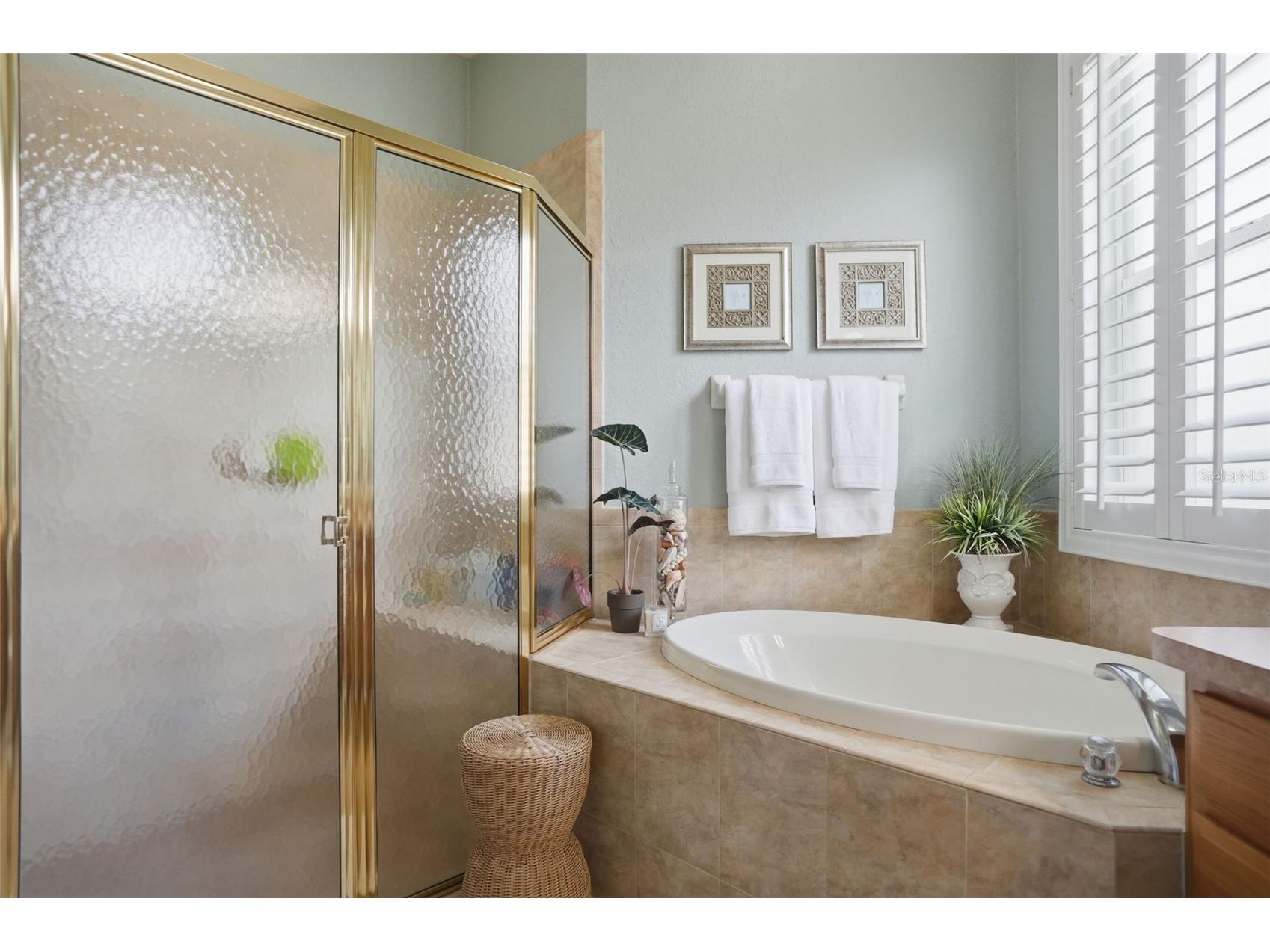 13248 Linzia Lane Spring Hill FL 34609 W7887097 image11