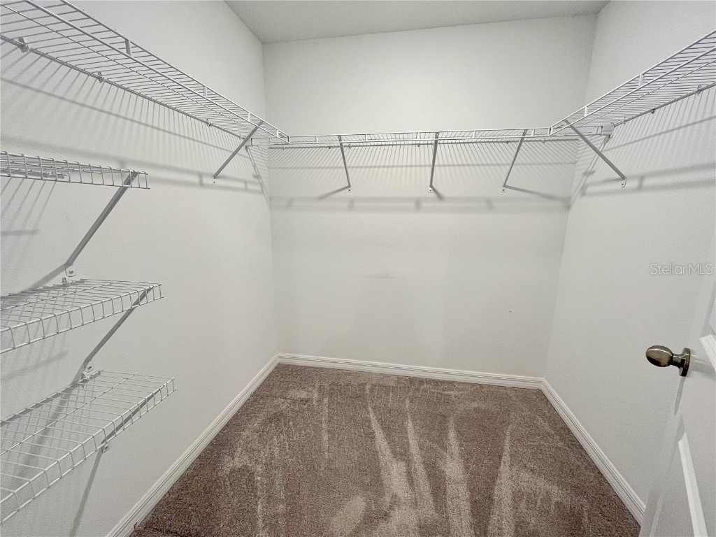 13249 Dupree Hills Place Riverview FL 33579 TB8407519 image11