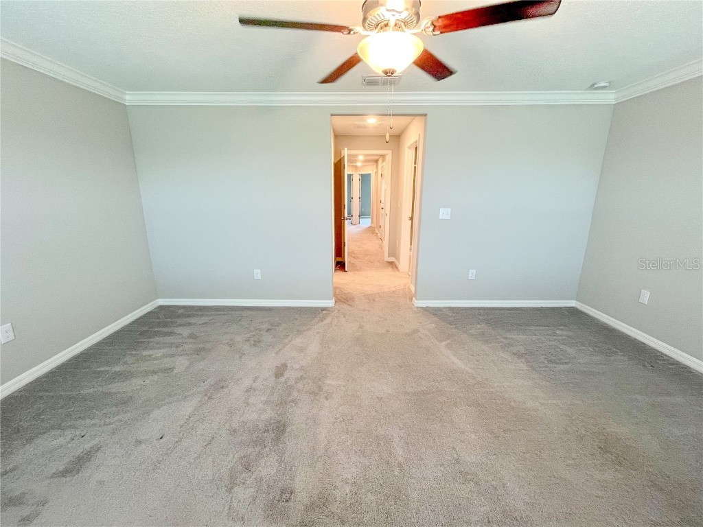 13249 Dupree Hills Place Riverview FL 33579 TB8407519 image8