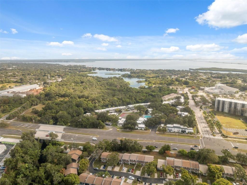 1325 Abbey Crescent Lane Clearwater FL 33759 TB8443413 image48