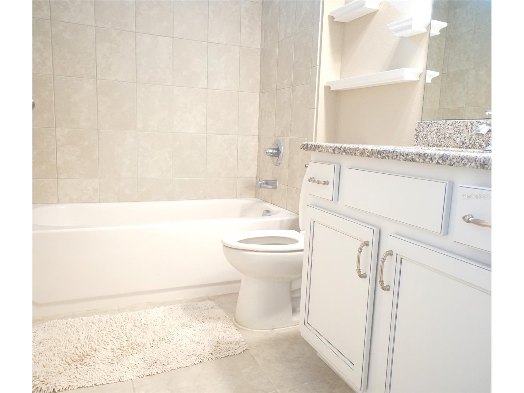 1325 Cadence Court Brandon FL 33511 TB8510476 image7