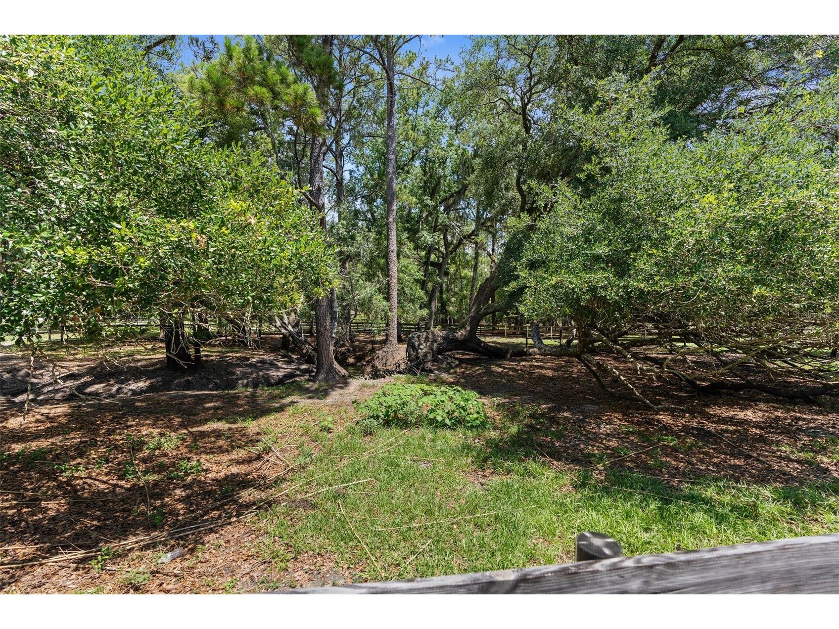 1325 Culbreath Road Brooksville FL 34602 W7880198 image83
