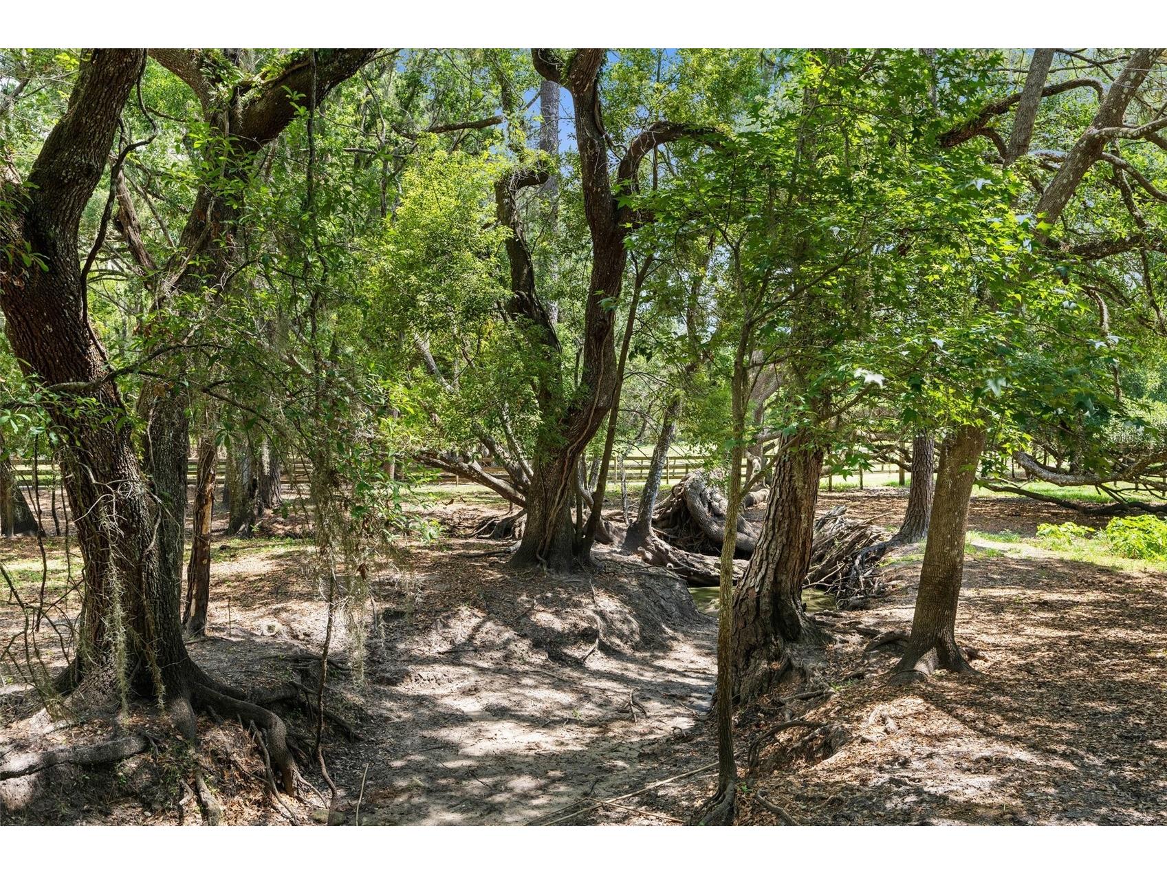 1325 Culbreath Road Brooksville FL 34602 W7880198 image84