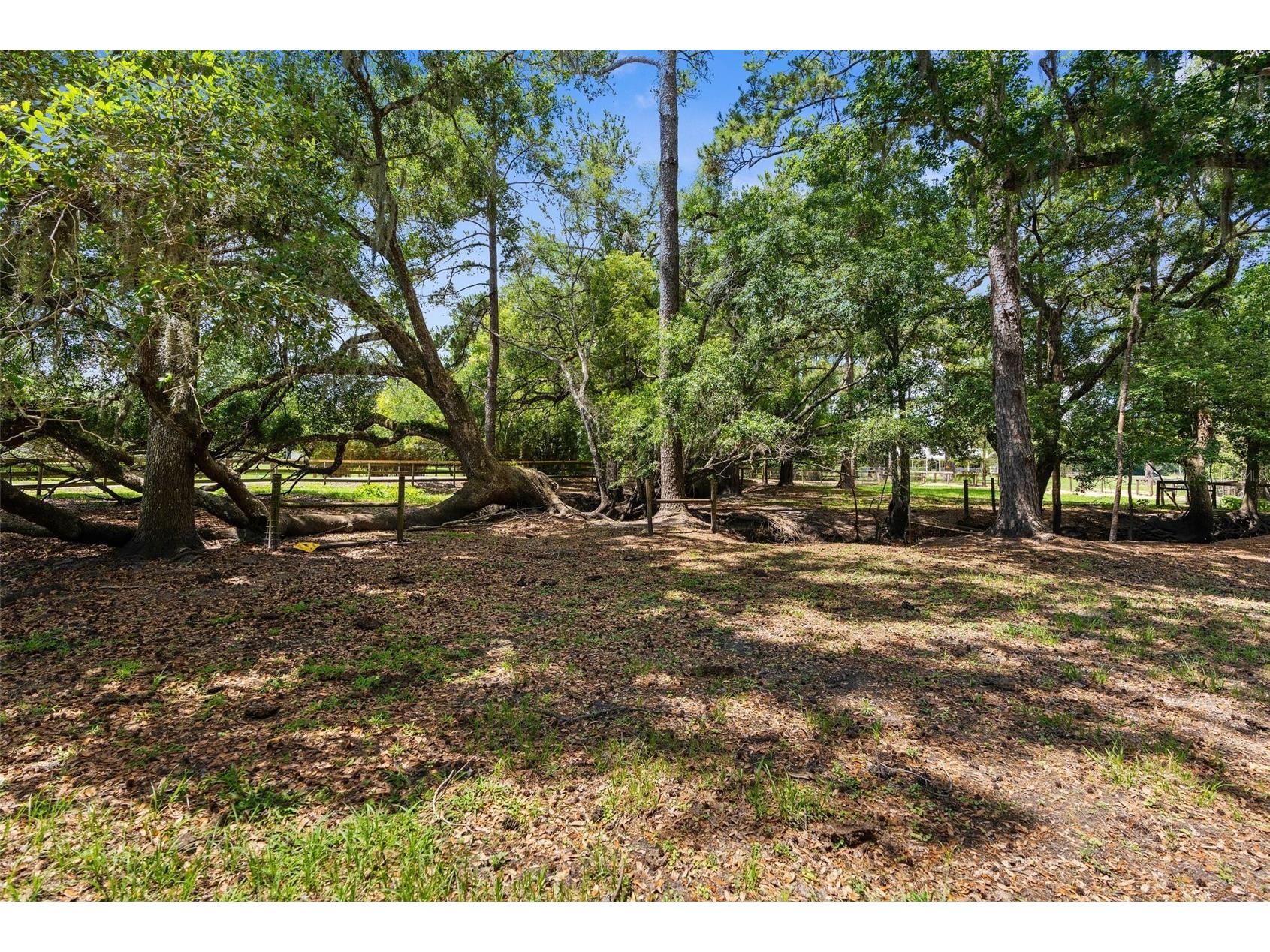 1325 Culbreath Road Brooksville FL 34602 W7880198 image85