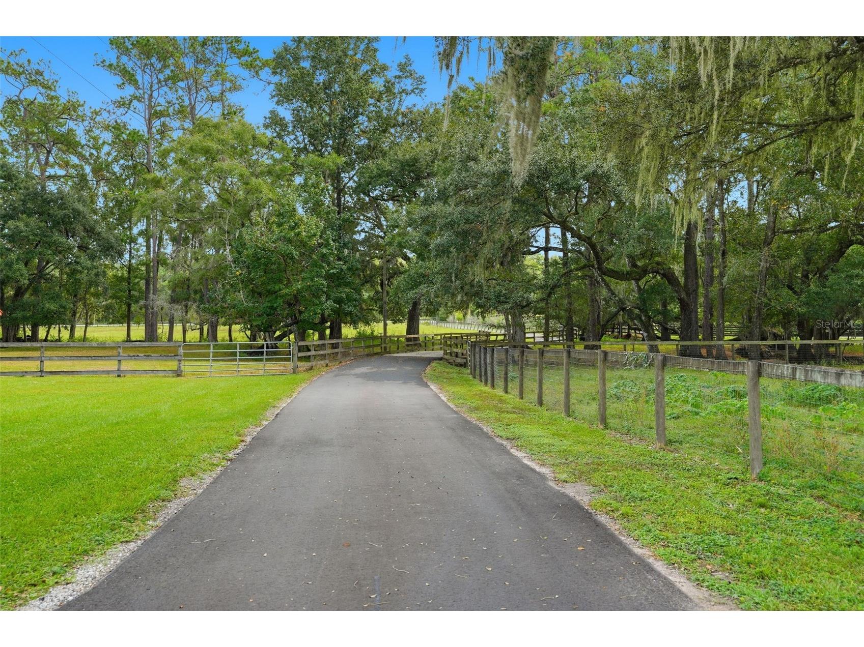 1325 Culbreath Road Brooksville FL 34602 W7880198 image93