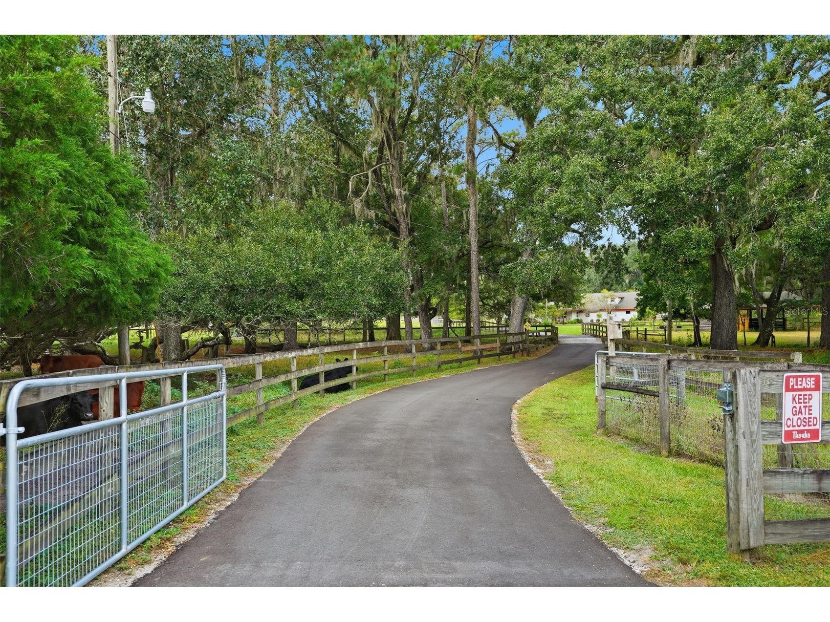 1325 Culbreath Road Brooksville FL 34602 W7880198 image95