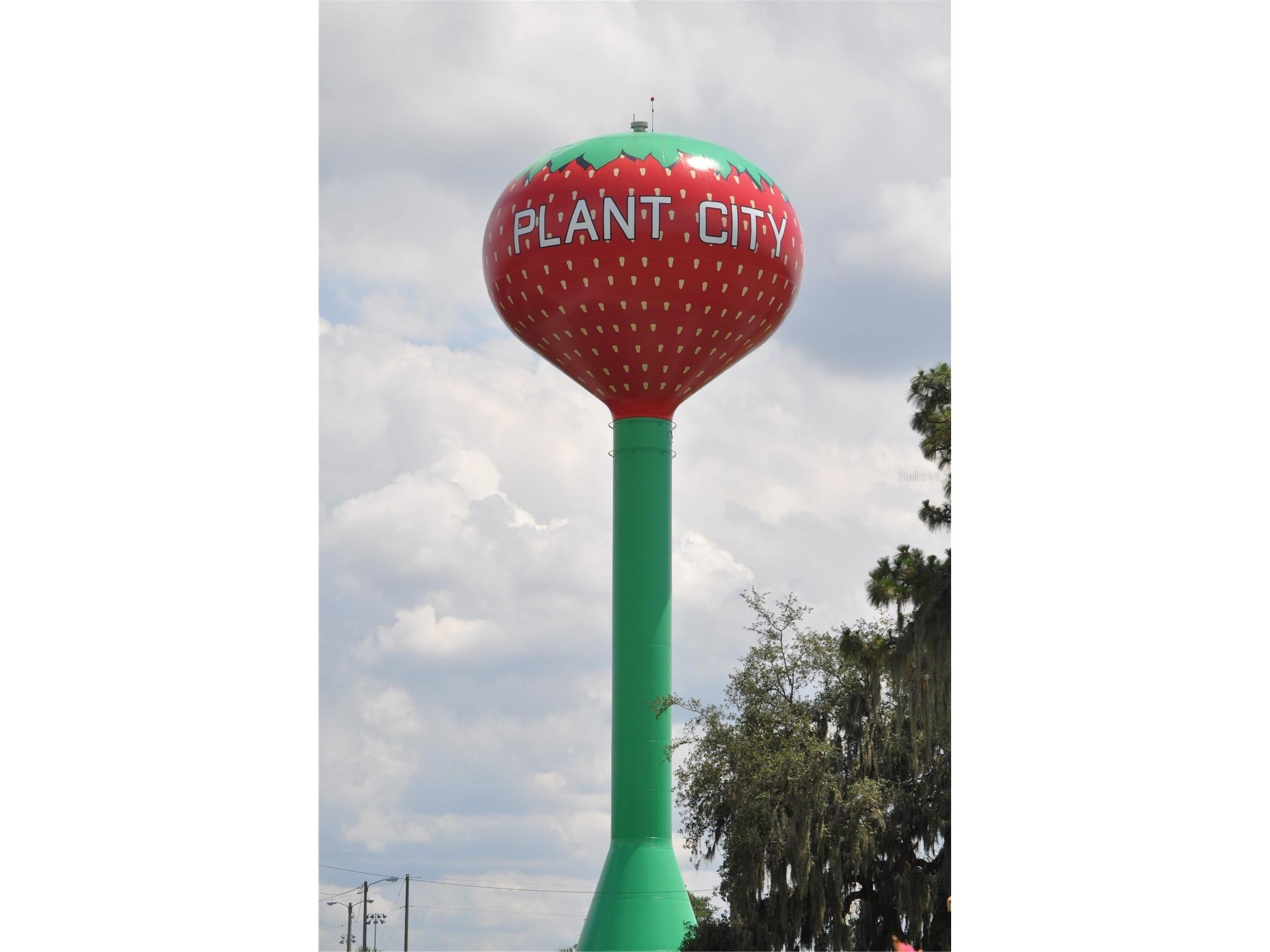 1325 E Laura Street Plant City FL 33563 TB8530921 image23