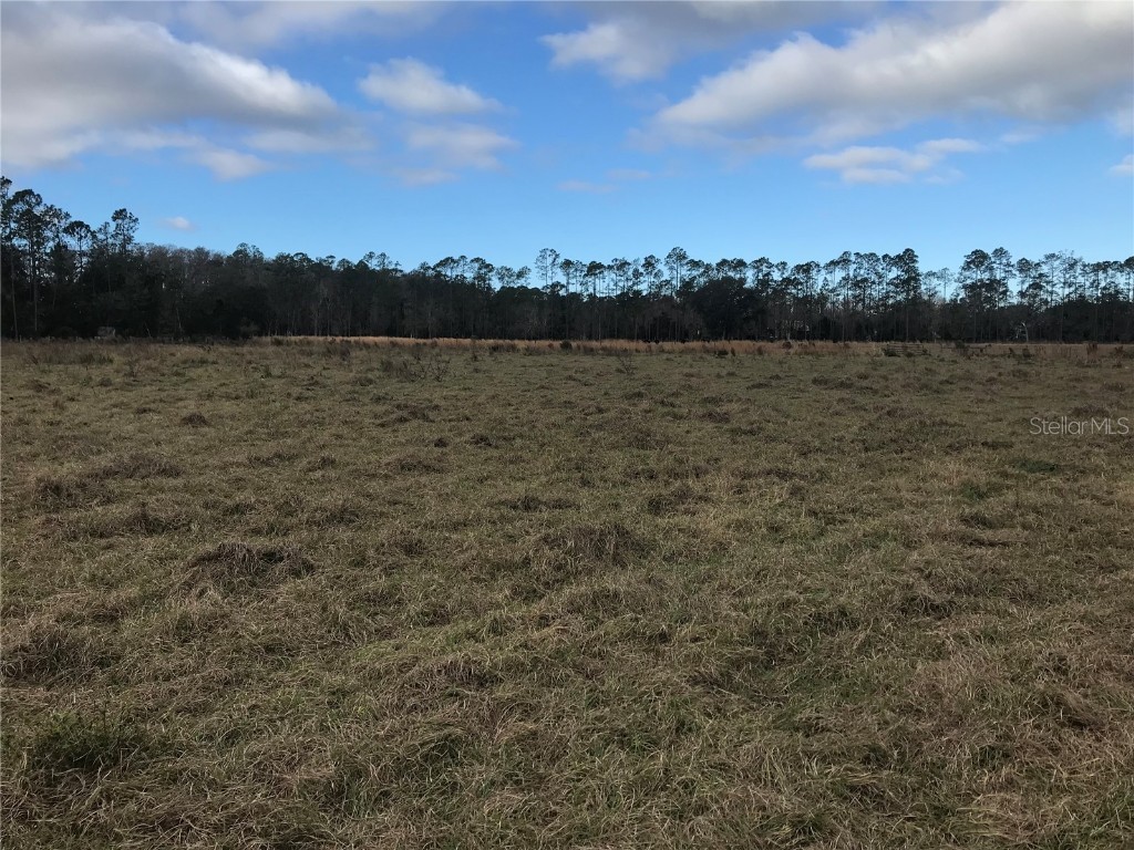 1325 Fort Christmas Road Chuluota FL 32766 O6176795 image1