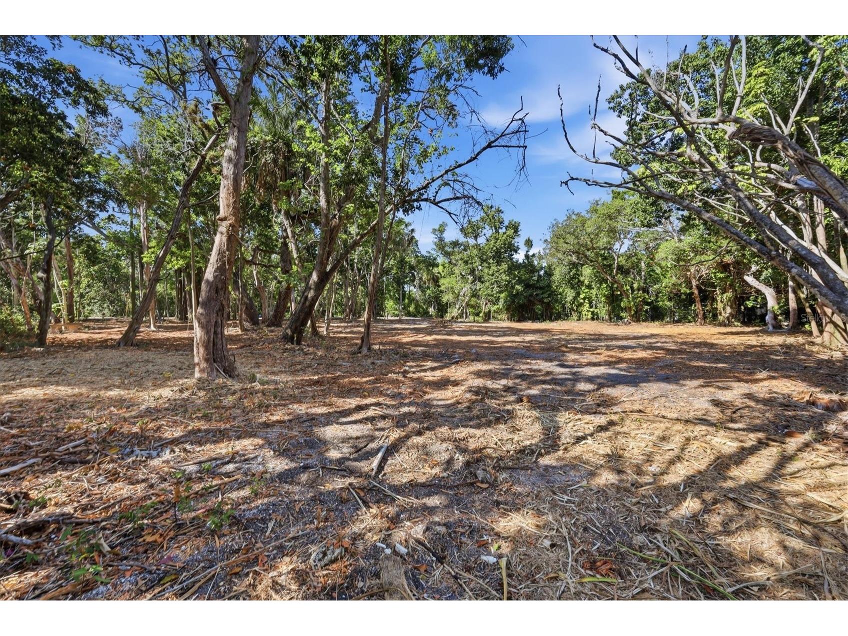 1325 Hidden Harbor Way Sarasota FL 34242 O6422033 image13