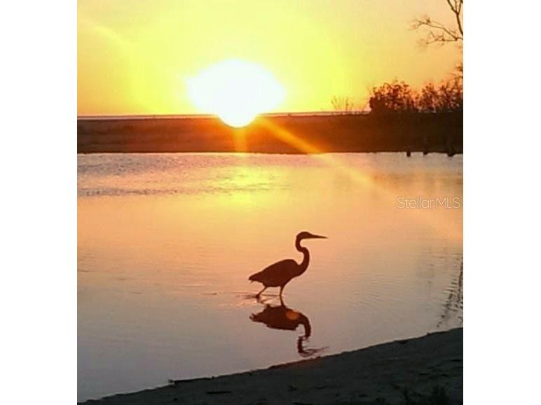 1325 Holiday Drive Englewood FL 34223 D6137351 image19