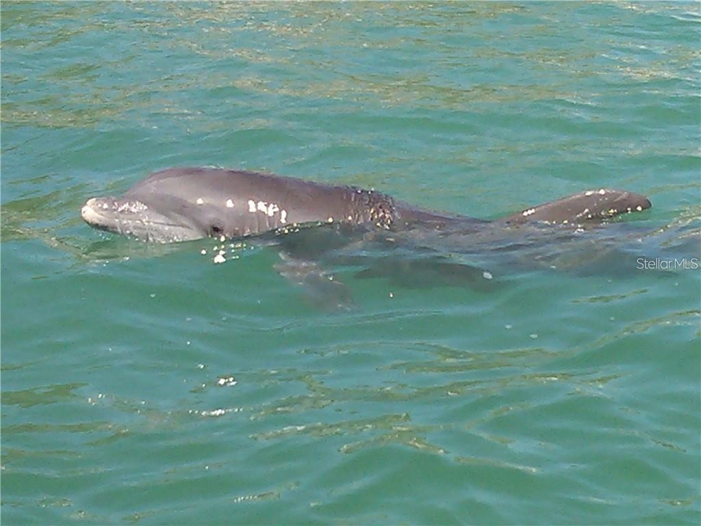 1325 Holiday Drive Englewood FL 34223 D6137351 image20