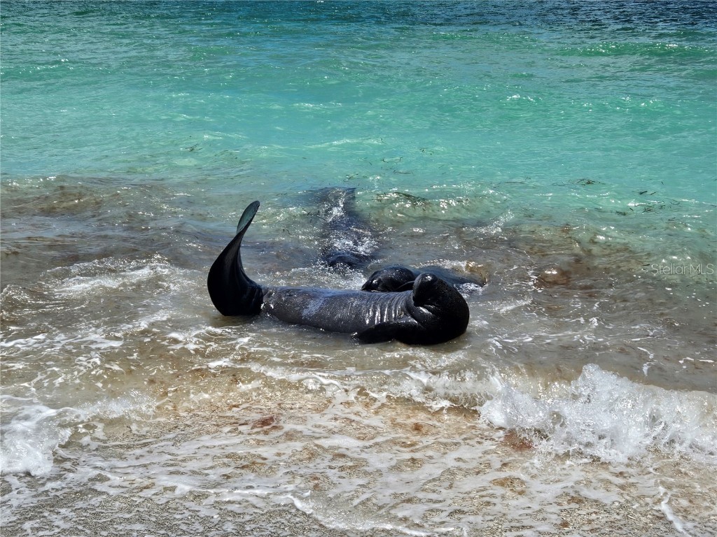 1325 Holiday Drive Englewood FL 34223 D6137351 image21