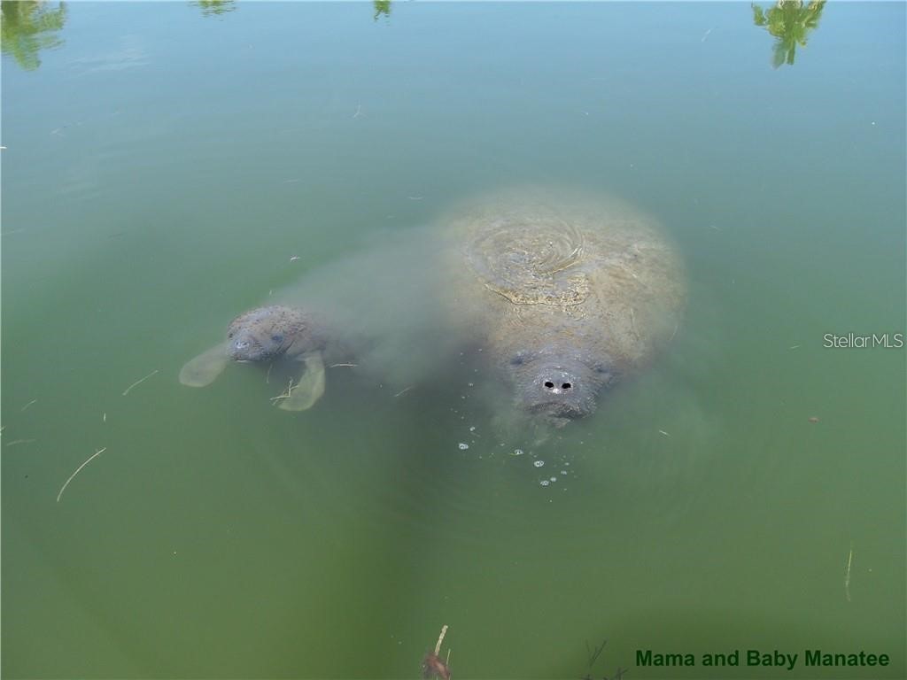 1325 Holiday Drive Englewood FL 34223 D6137351 image22