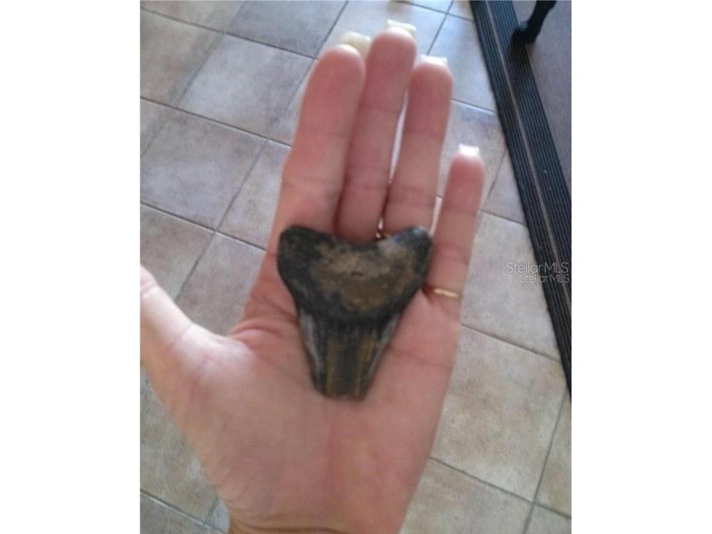 1325 Holiday Drive Englewood FL 34223 D6137351 image30