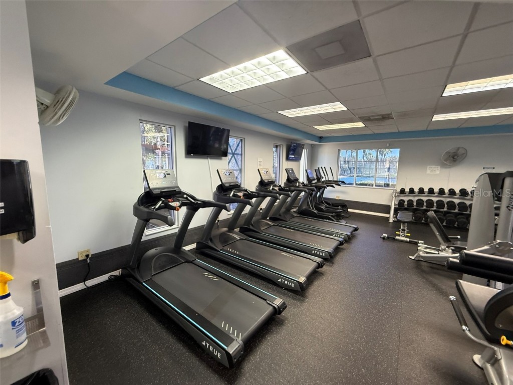 1325 Lyonshire Drive Wesley Chapel FL 33543 TB8444298 image34