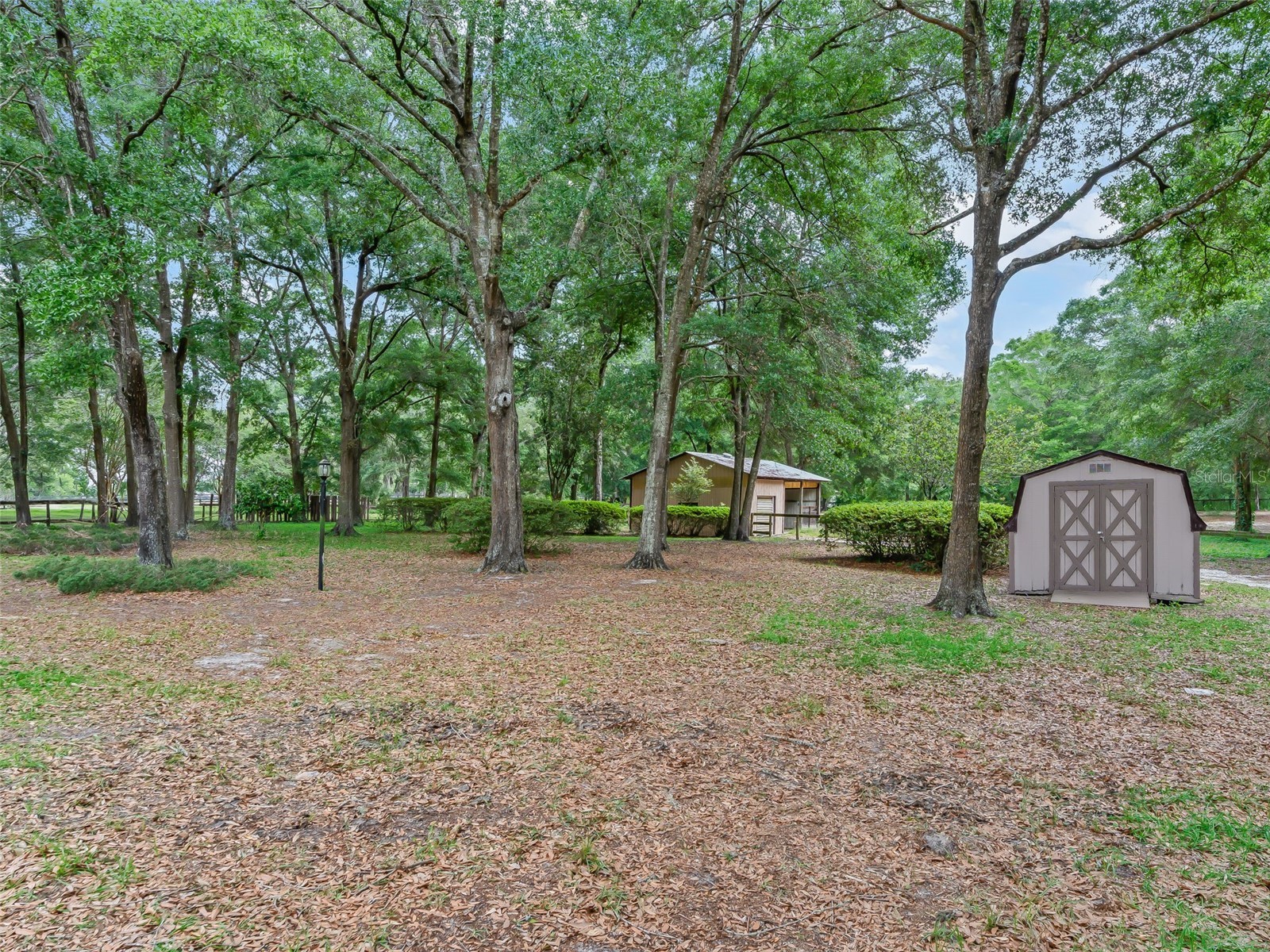 1325 NW 73rd Terrace Ocala FL 34482 OM723678 image37