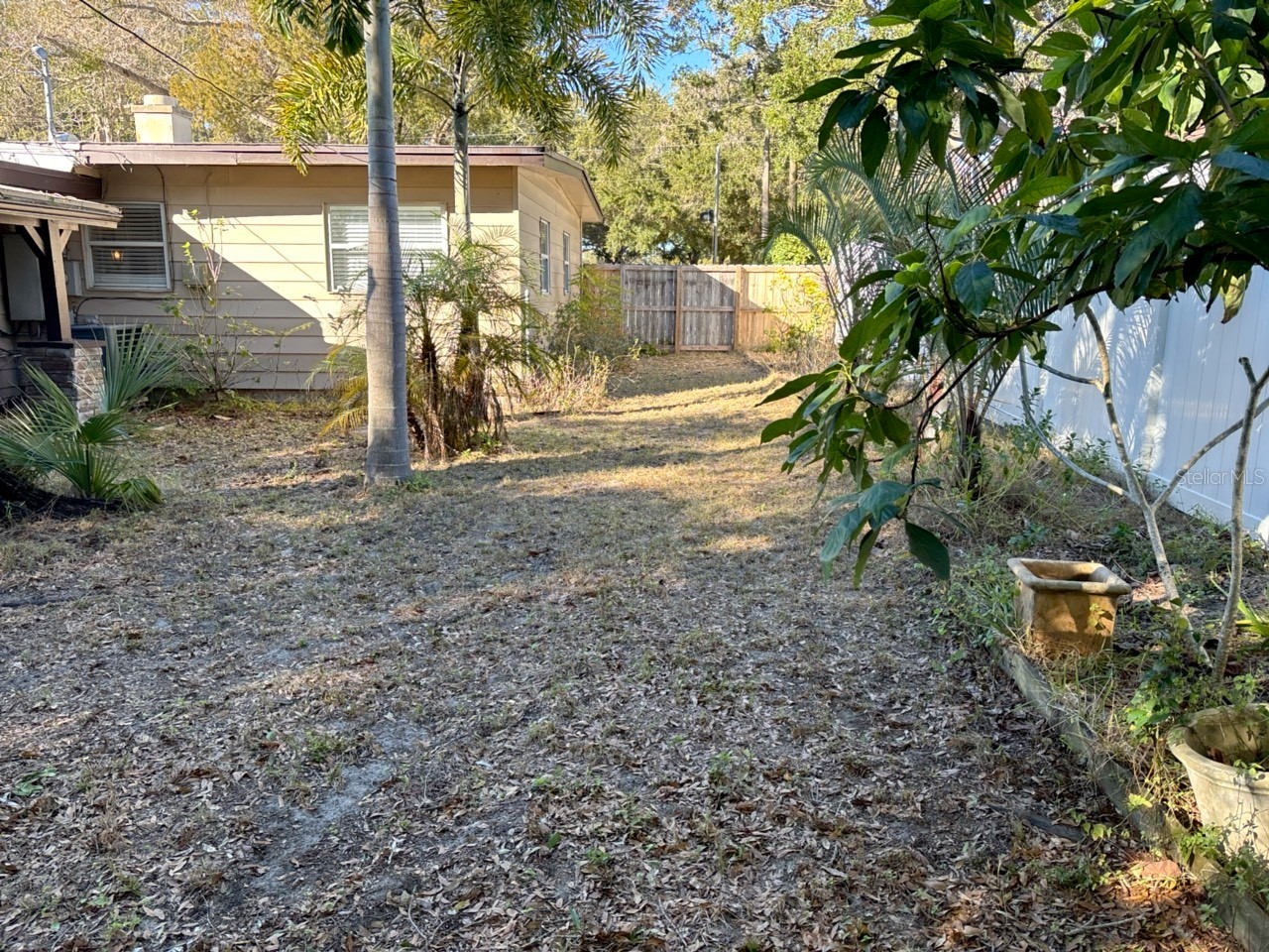 1325 Sandy Lane Clearwater FL 33755 TB8473811 image12