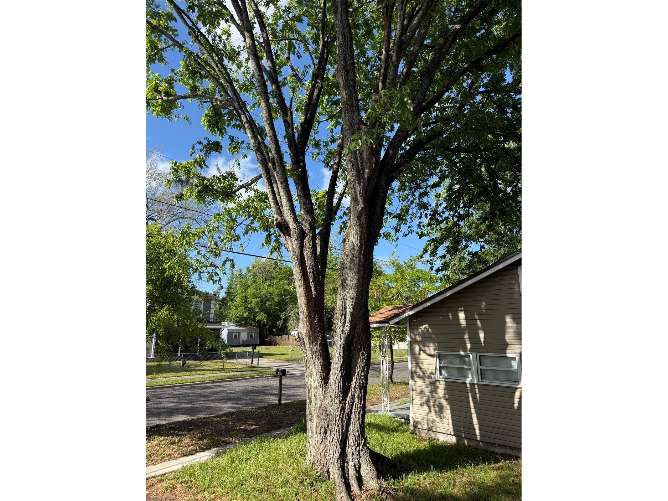 1325 W 25th Street Jacksonville FL 32209 OM718811 image8