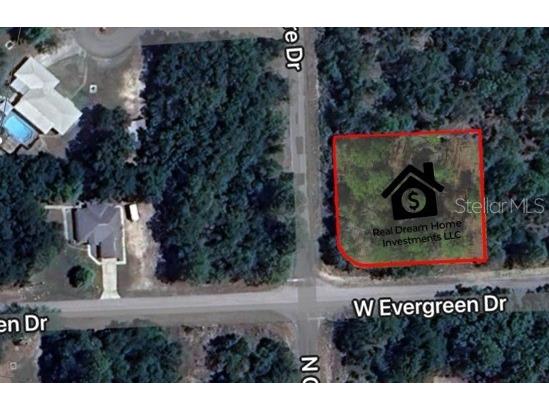 1325 W Evergreen Drive Citrus Springs FL 34434 O6327220 image1