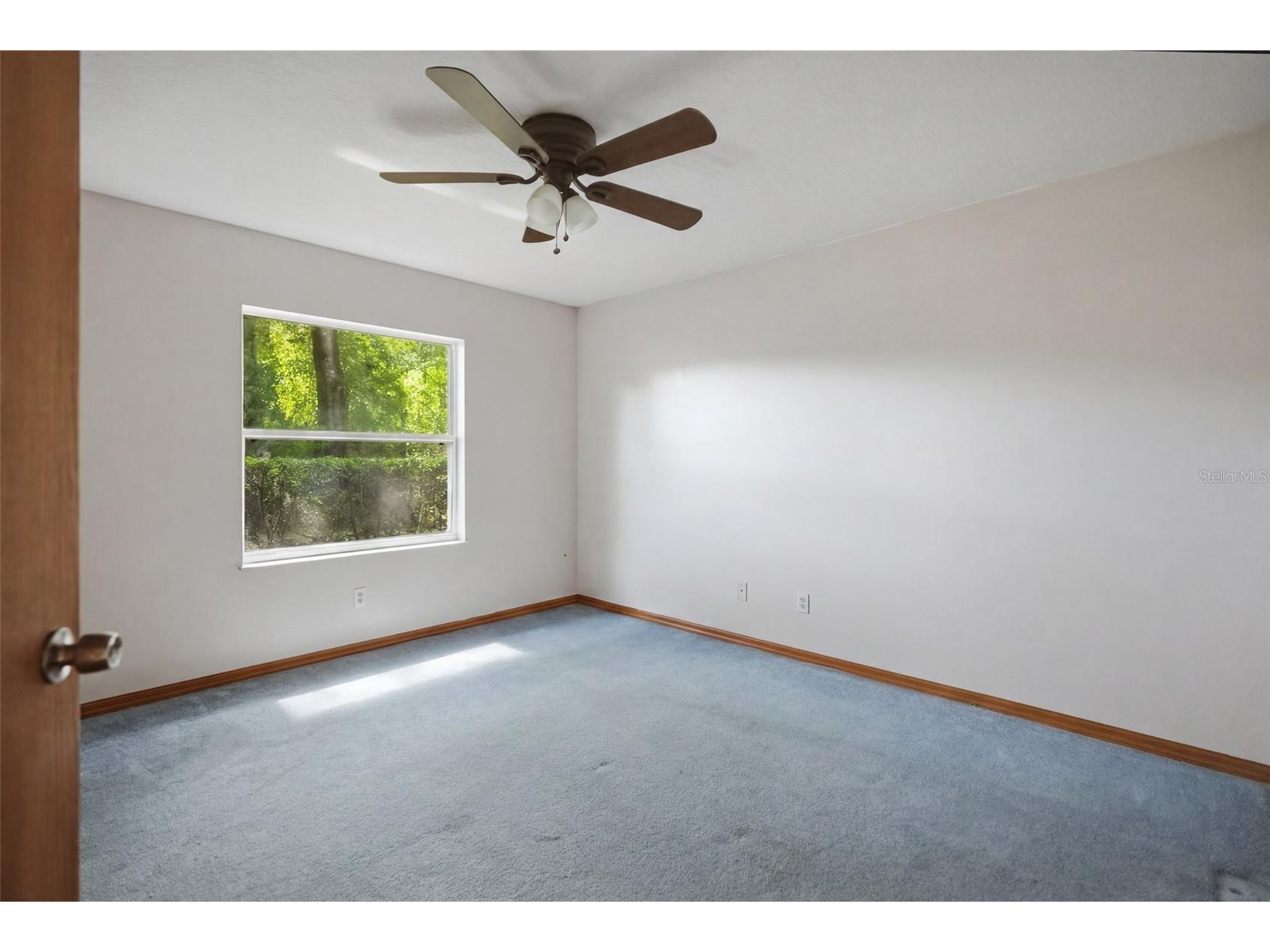 1325 W Sorrento Drive Citrus Springs FL 34434 W7887637 image23
