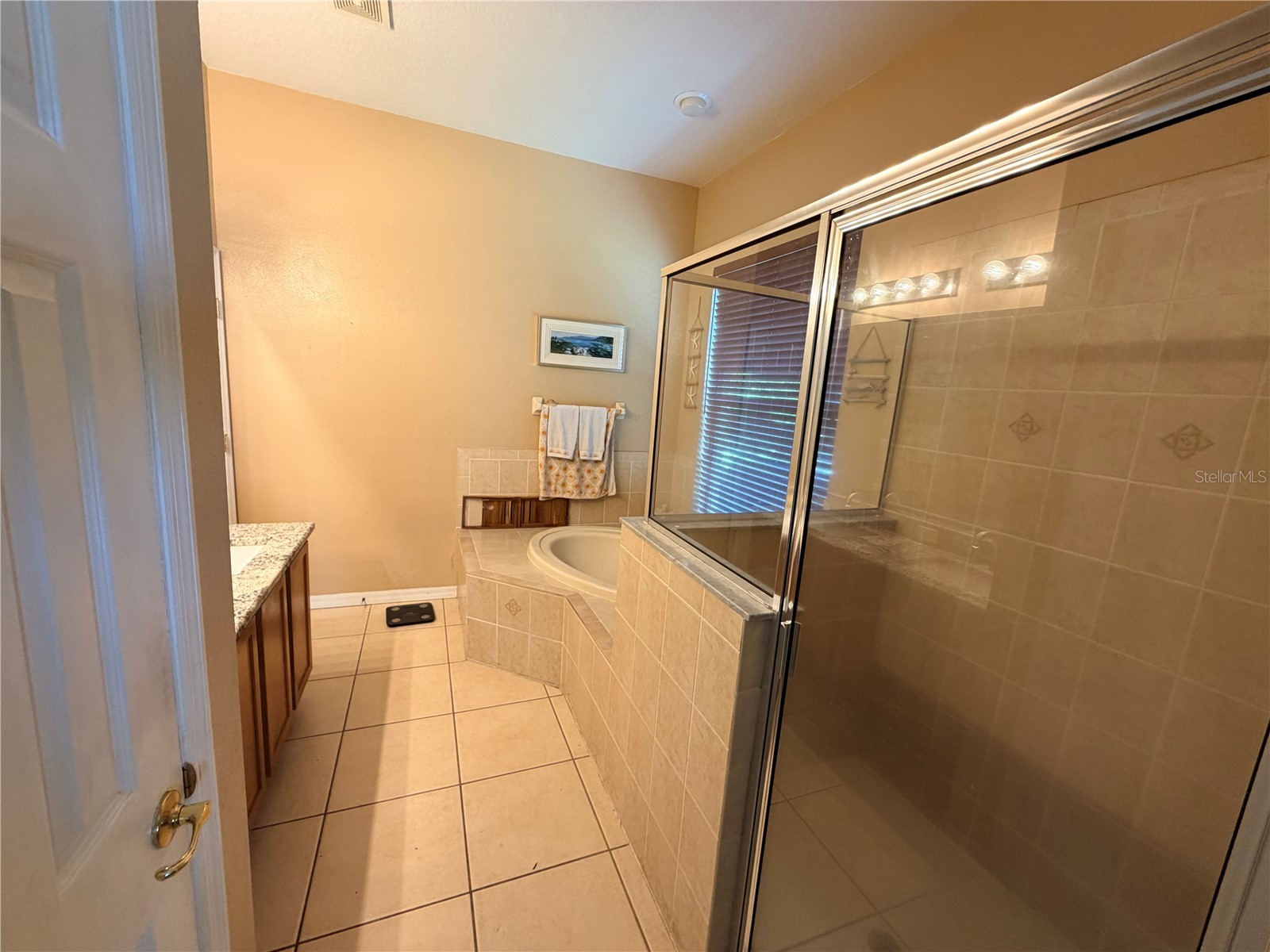 13250 Mandalay Place Spring Hill FL 34609 W7885947 image15
