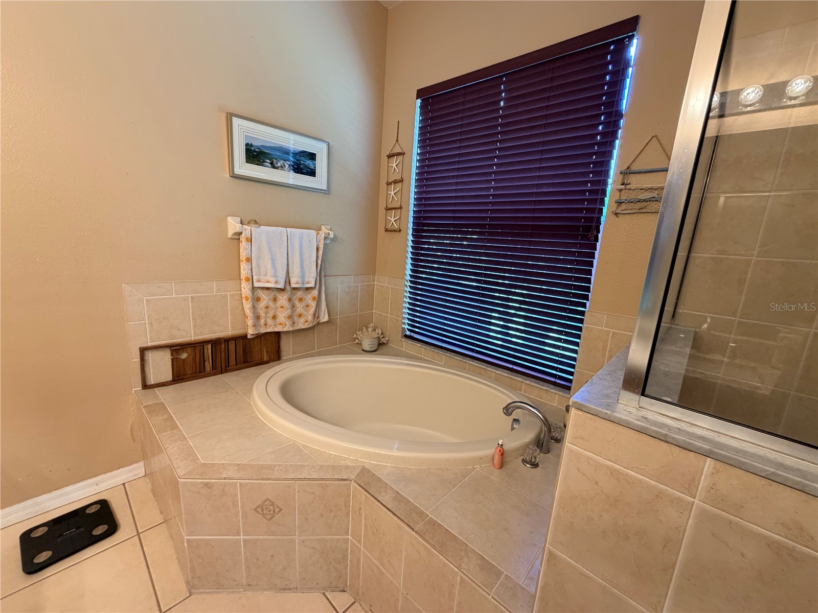 13250 Mandalay Place Spring Hill FL 34609 W7885947 image16