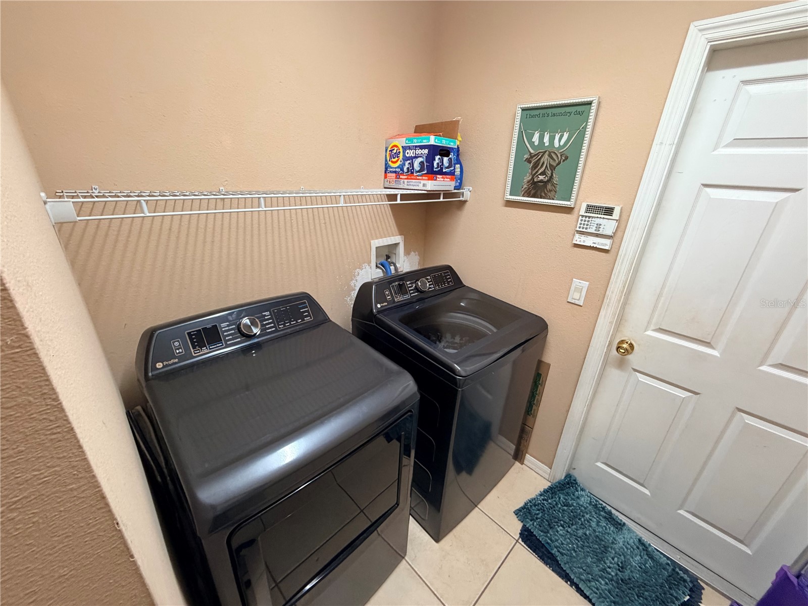 13250 Mandalay Place Spring Hill FL 34609 W7885947 image23