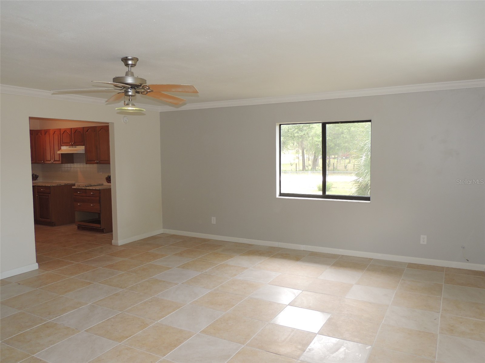 13250 NE 52nd Place Williston FL 32696 OM723882 image13