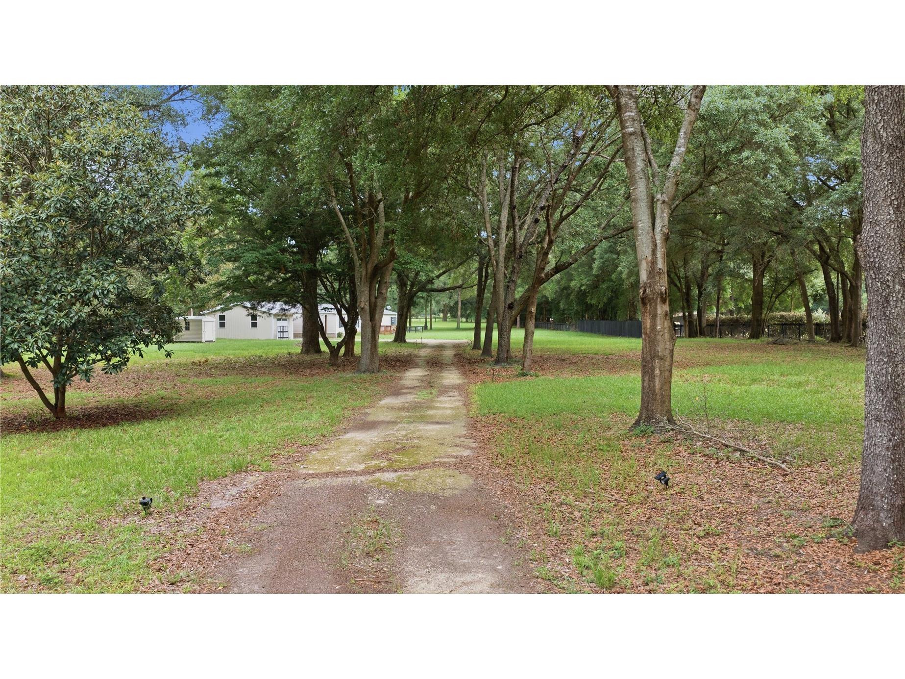 13250 NW 160th Avenue Morriston FL 32668 O6403431 image14
