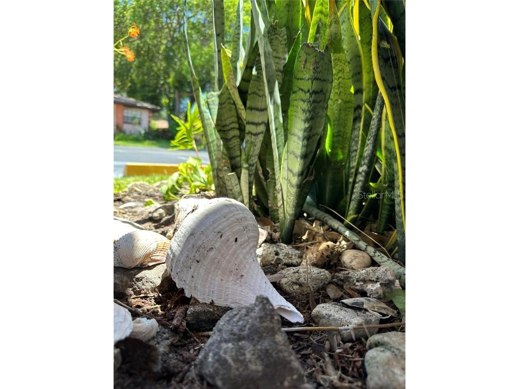 13250 Ridge Road #1-7 Largo FL 33778 O6327902 image13