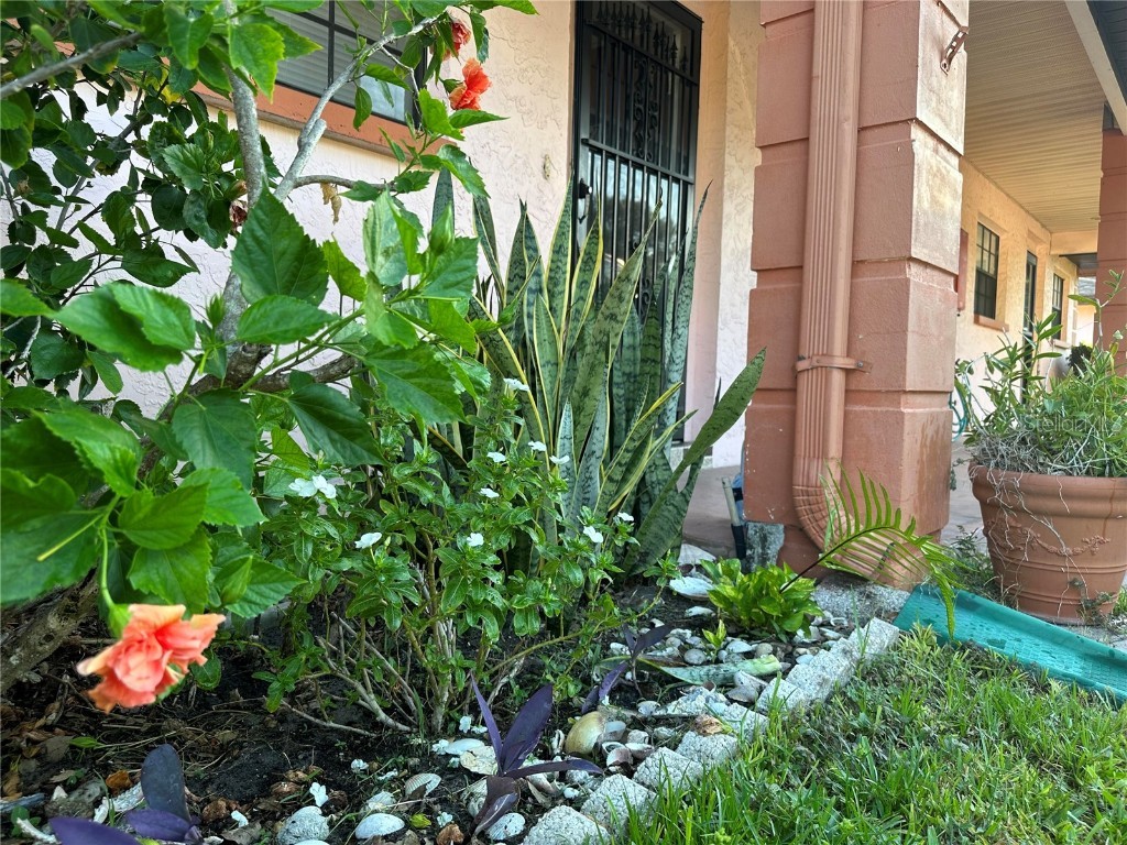 13250 Ridge Road #1-7 Largo FL 33778 O6327902 image24