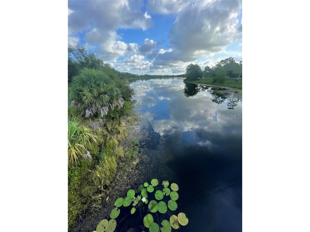 13250 Ridge Road #1-7 Largo FL 33778 O6327902 image26