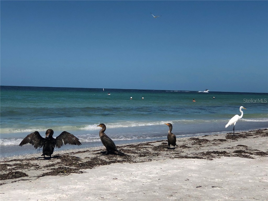 13250 Ridge Road #1-7 Largo FL 33778 O6327902 image29