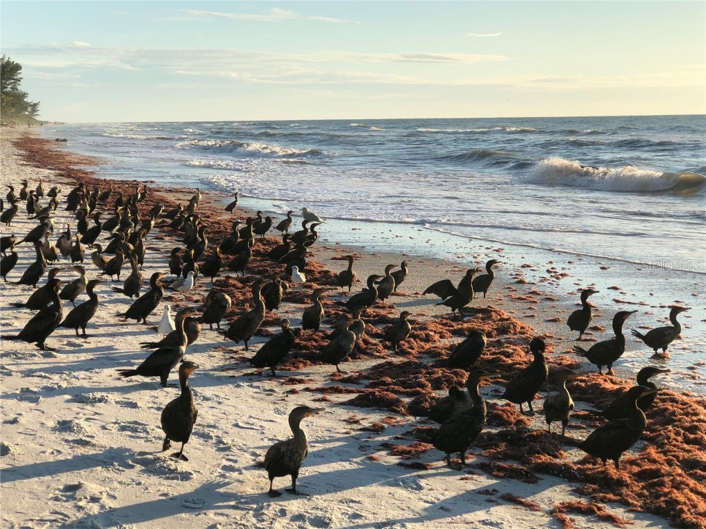 13250 Ridge Road #1-7 Largo FL 33778 O6327902 image30