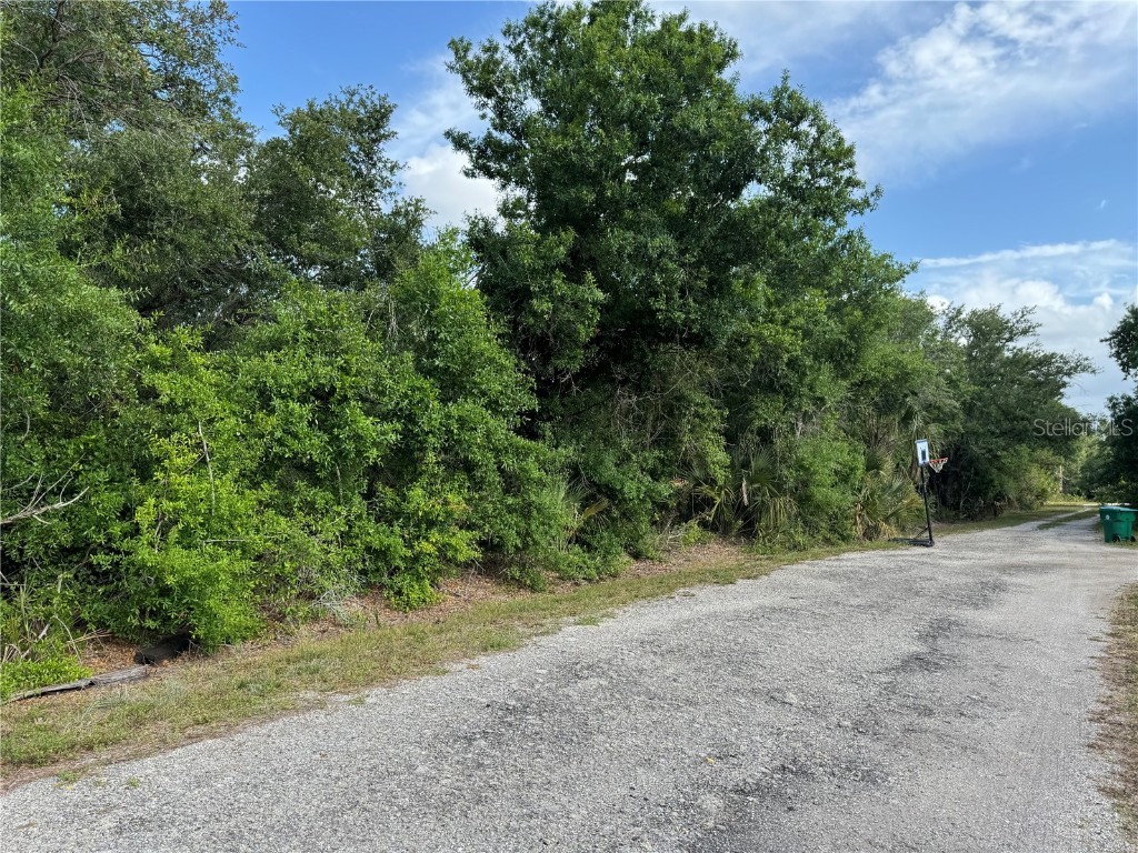 13252 Pine Run Terrace Punta Gorda FL 33955 TB8438416 image2