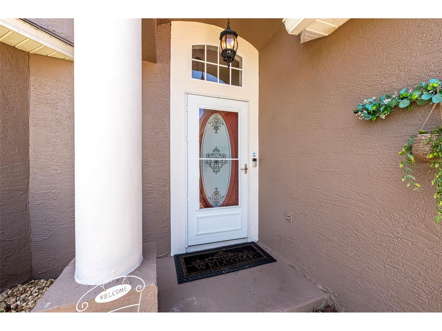 13253 Golf Ridge Place Hudson FL 34669 W7885839 image4