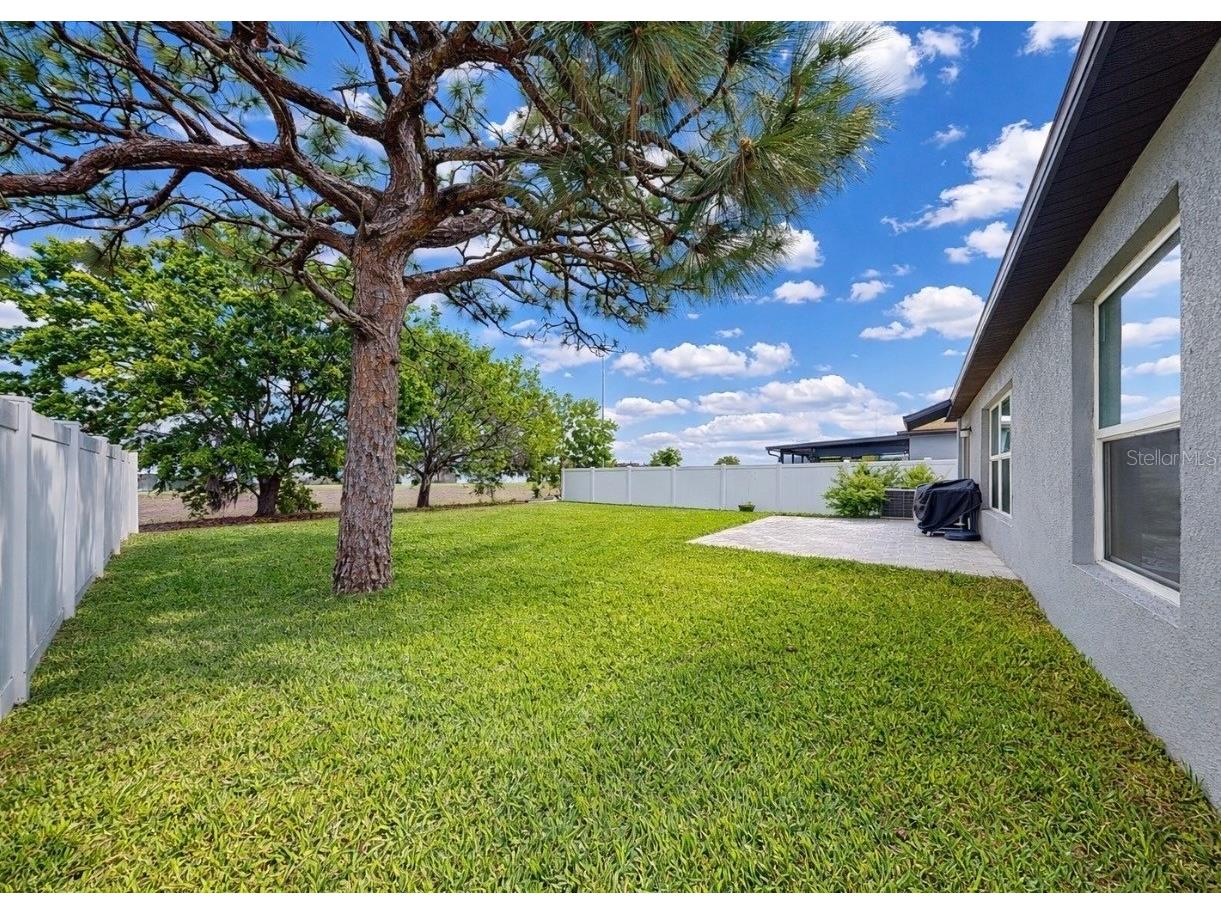 13256 Great Plains Drive Riverview FL 33579 TB8506262 image38