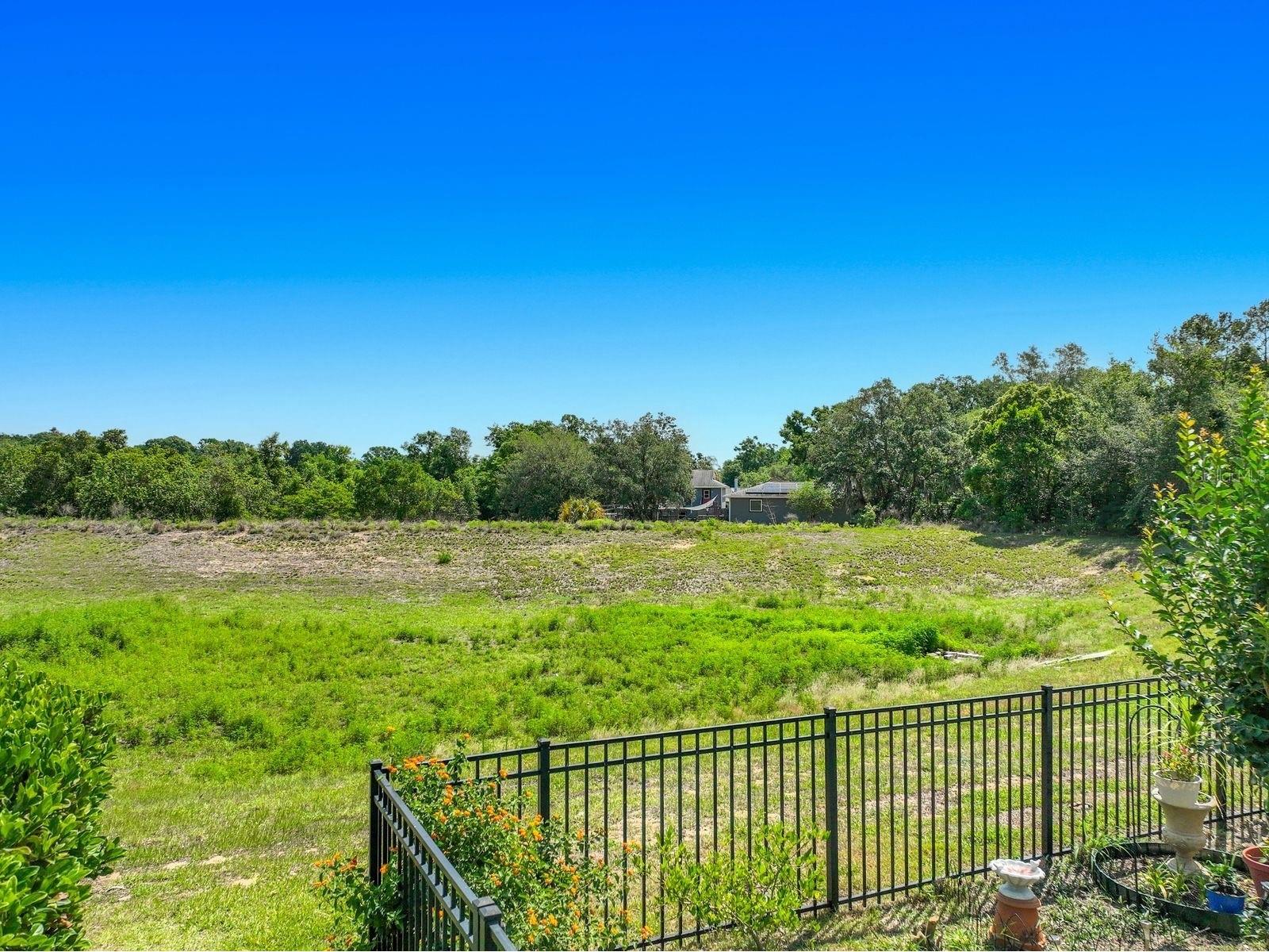 13256 Whisper Bay Drive Clermont FL 34711 O6401104 image38