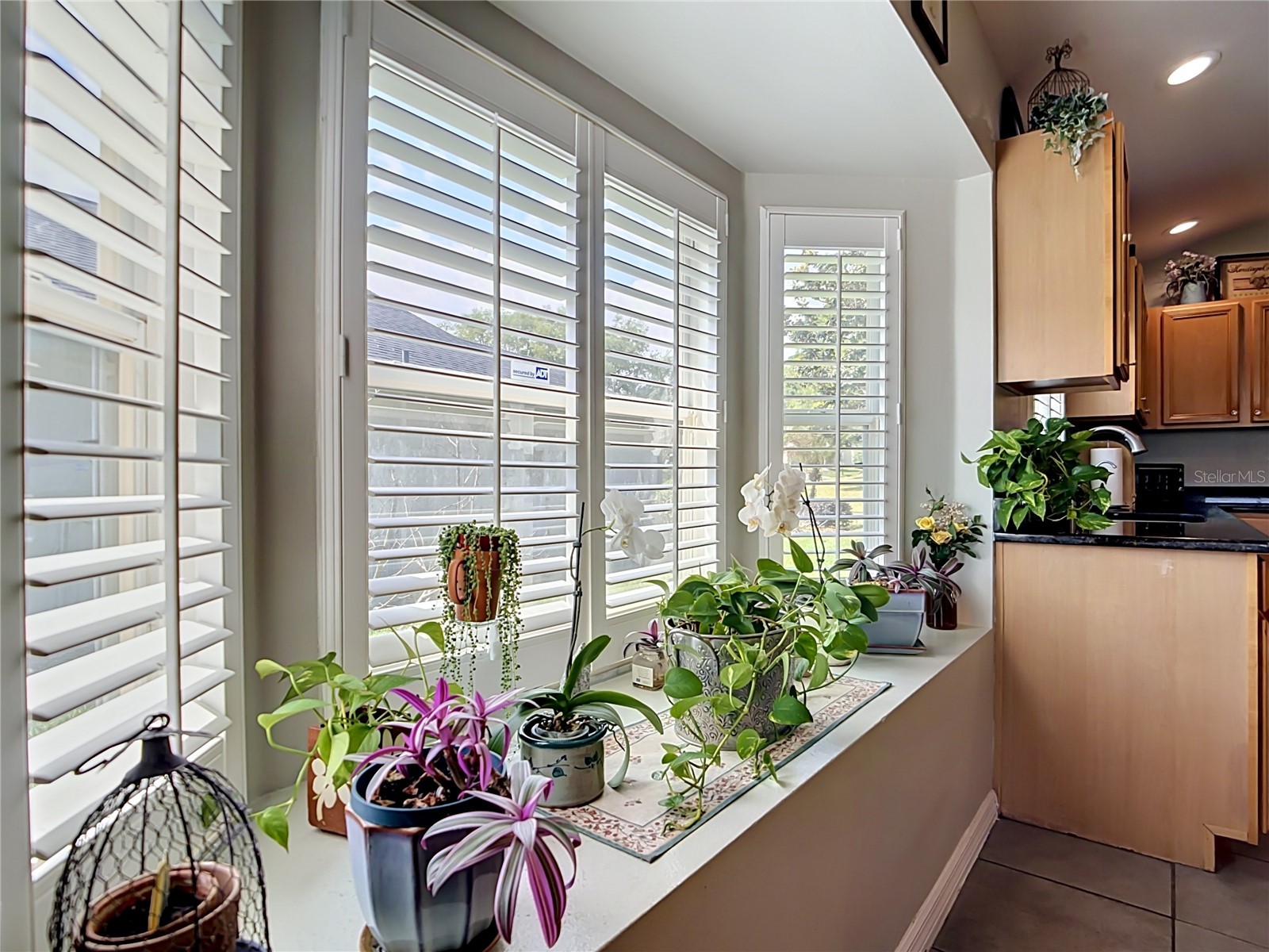 13256 Whisper Bay Drive Clermont FL 34711 O6401104 image9