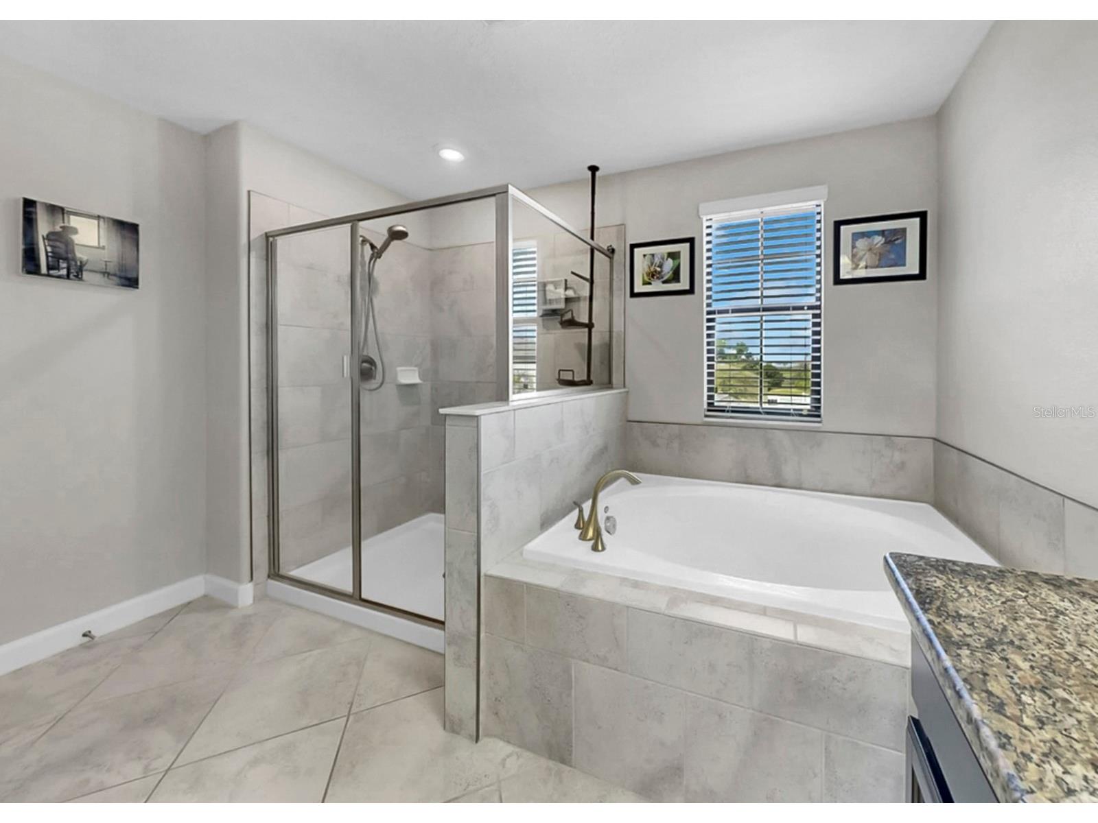 13256 Wildflower Meadow Drive Riverview FL 33579 TB8493244 image38